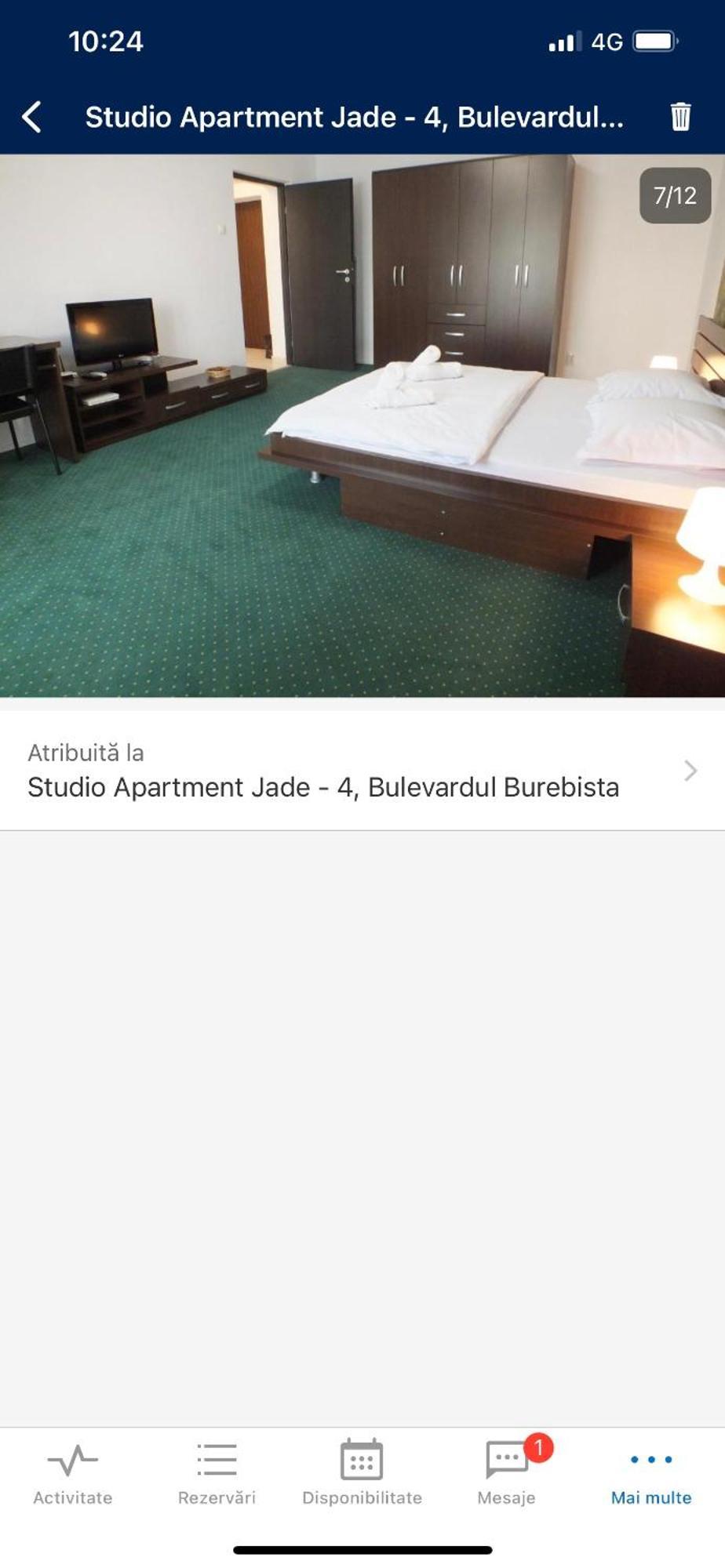 Alba Iulia Square - Apartments And Studios Bukares Bagian luar foto